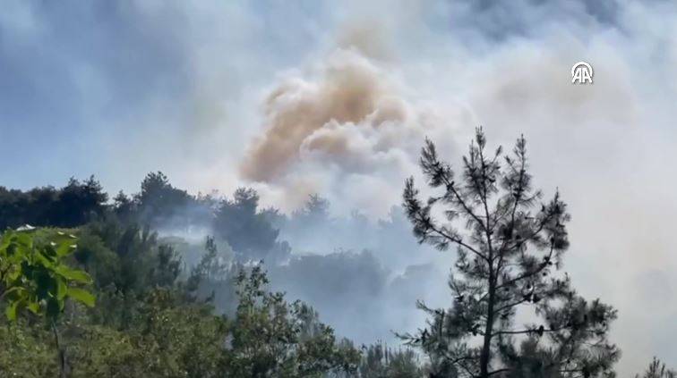 Sakarya'da orman yangını 9